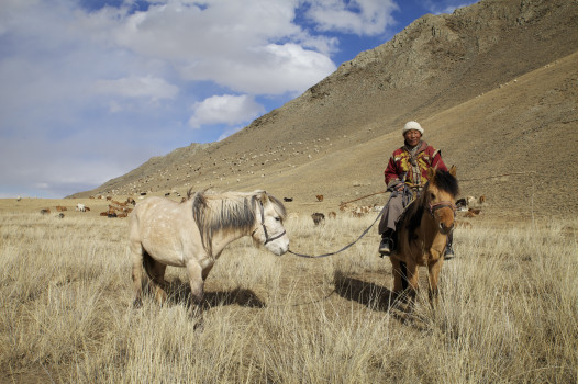 Tseveng, a Mongolian nomadic herder