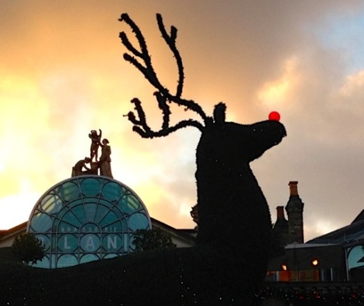 Rudolph joins the Neo-Classical figures atop London's Covent Garden market on a picture-perfect December afternoon (Millie Ball)
