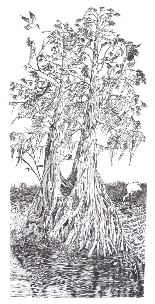 1. cypress I