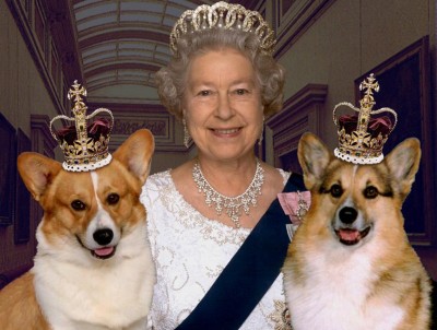 Her Majesty & Corgis. Do they drink Crown Royal? (Image: www.nicespace.me)