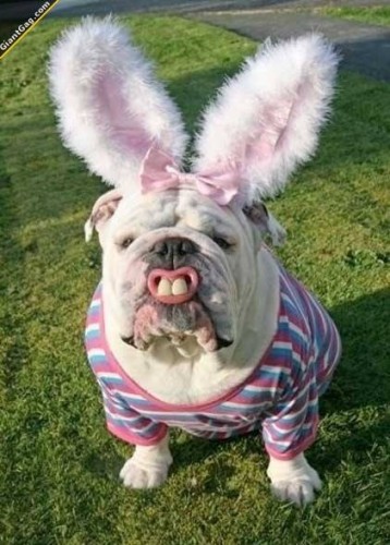 Easter Bully