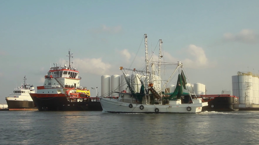 Fourchon shrimp and oil boats (Photo: Rob Davis)
