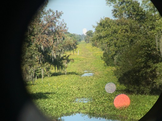 A water-hyacinth-choked manmade canal (water hyacinth is an invasive species that Bayou St. John in the 20th century). Can you spot the white building looming at the end of it? This photo was taken my pressing my iPhone against the eye piece of high-quality binoculars