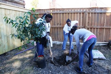 Jericho Road volunteers plant fruit trees in Central City.