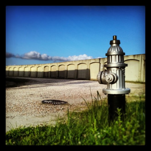 On the Levee