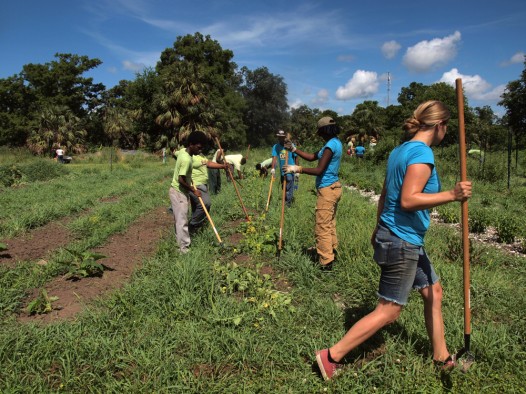 In the fields at Grow Dat Youth Farm (photo by Rene Merino)
