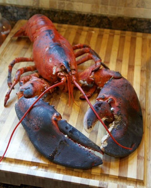 lobzilla2