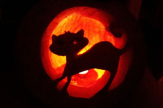 halloweencat
