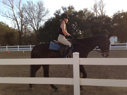 Test riding the Mardi Gras horses