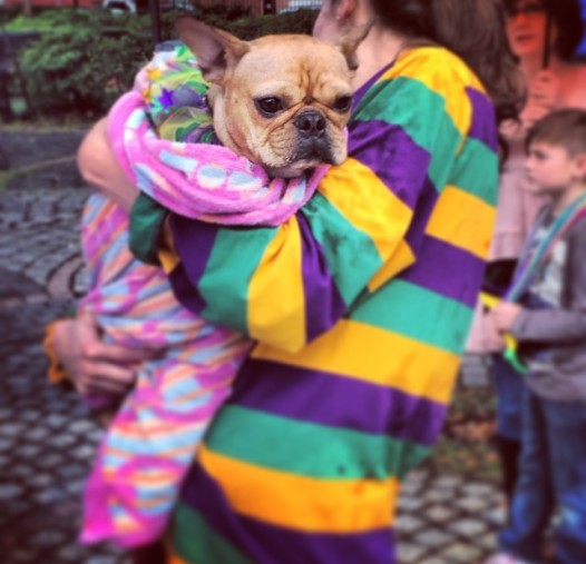 barkus8