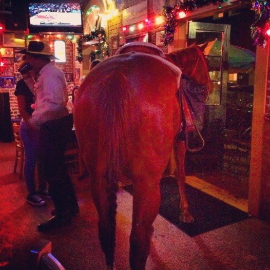 horse