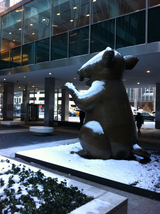 rat