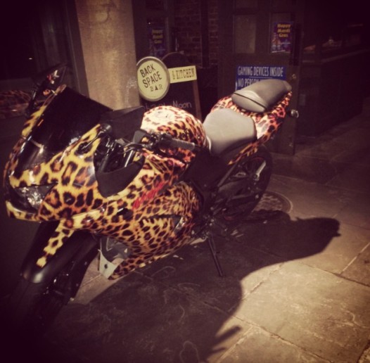 bike6