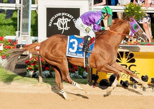 California Chrome wins the Preakness (Photo: Jay Baker for Maryland GovPics)
