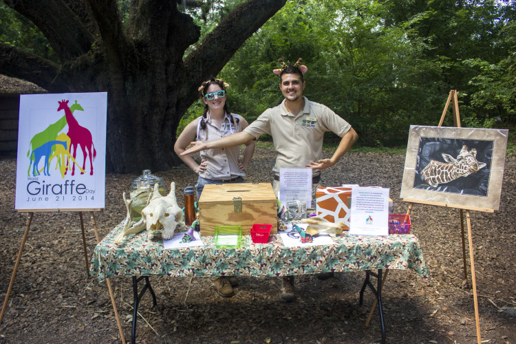 Hoofstock keepers Megan Halloran and Ethan Anderson man the "Giraffle" table, featuring artwork by Jeanine Nahra. All proceeds from the raffle went towards the Giraffe Conservation Foundation. (Photo: Hanna Rasanen)