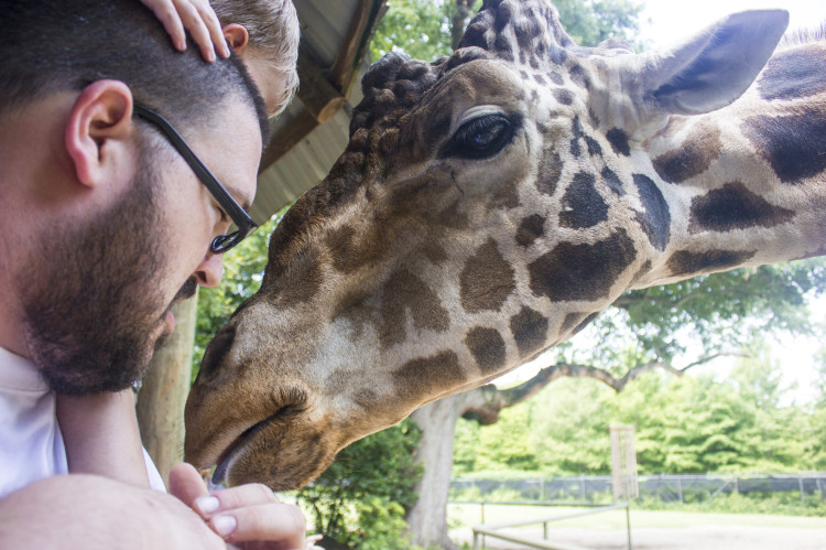 World Giraffe Day at Audubon Zoo (Photo: Hanna Rasanen)