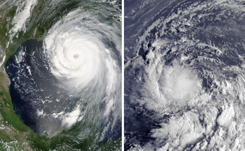 hurricanegender
