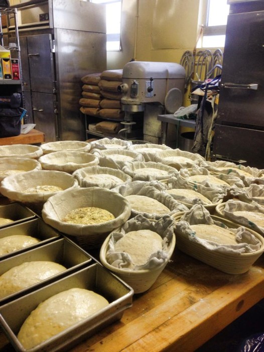First batch of fough 'rests' at Leo's Breads.