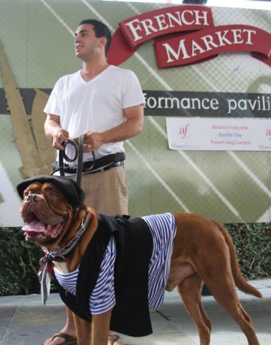 The Alliance Francaise invites all dogs to be French on Saturday.