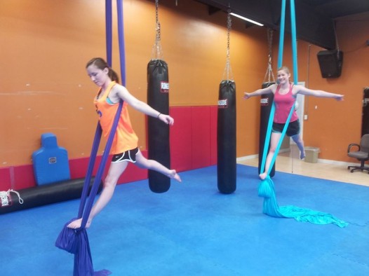 Students display Arabella on horsetail silks 