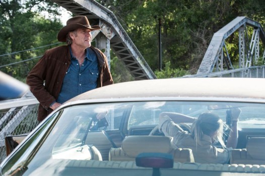 Crime drama series Longmire has been cancelled due to its predominantly senior audience demographic.