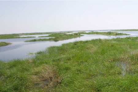Common Ground Relief has shifted emphasis from rebuilding to coastal restoration.