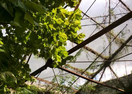 Site of MotherShip III by Dawn DeDeaux