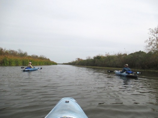 Bayou Bienvenu is a sanctuary for birds.