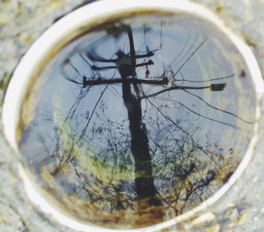 Photo by: Hanna Rasanen