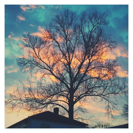 (Photo by: Hanna Rasanen)
