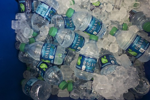 Hydrate before the festival to avoid post-fest fatigue. (photo: Summer Suleiman)