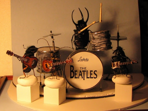 Beetlemania at the Insectarium