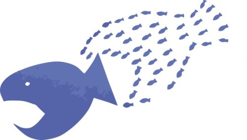 bigfish