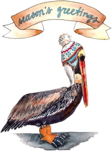 Pelican
