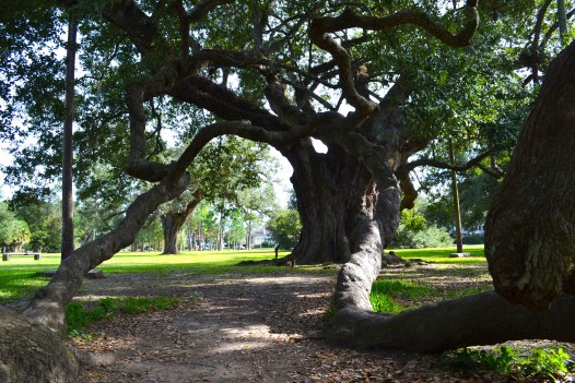 Tree 2