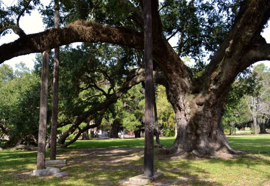 Tree 3