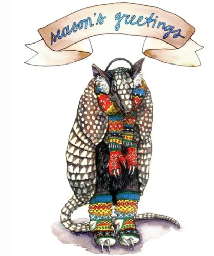 armidillo