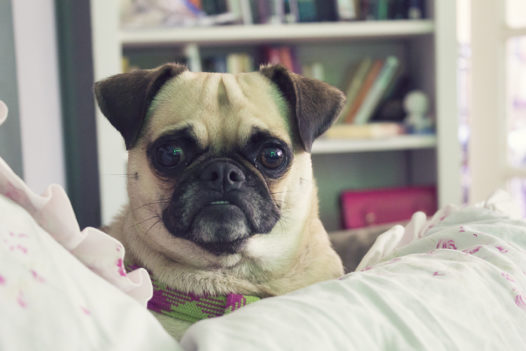 Monday - sits
