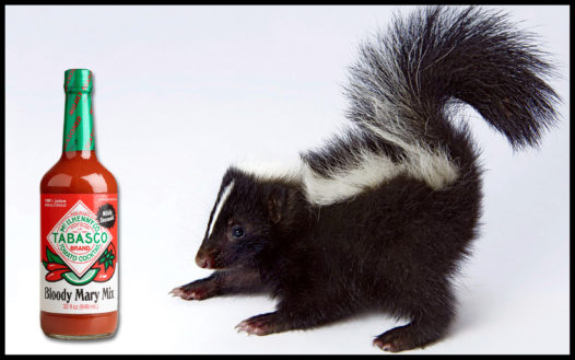 skunk