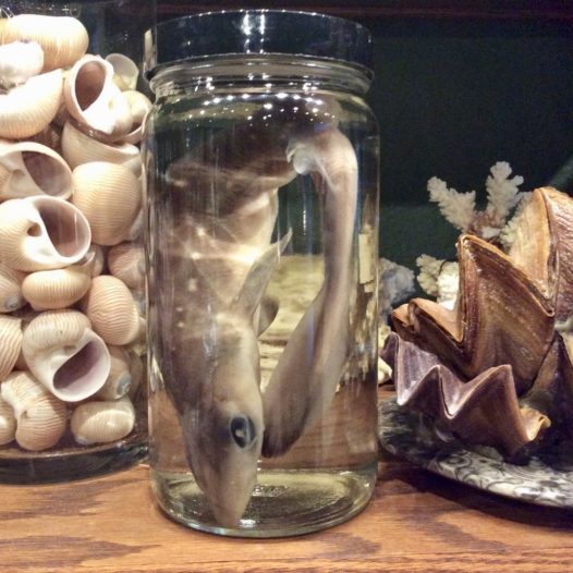Jar