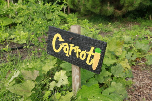 Press Street Gardens (Photos by: David Benedetto)