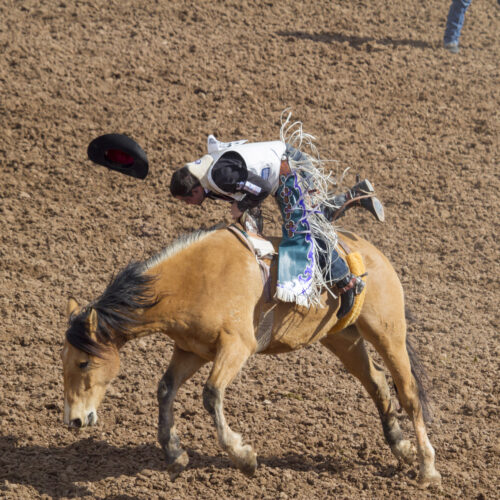 Angola rodeo “The wildest show in the south” Via Nola Vie