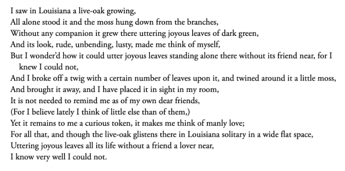 I Saw in Louisiana A Live-Oak Growing by Walt Whitman