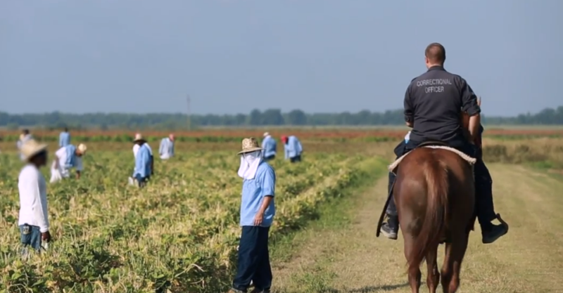 Punishment and redemption: Modern day slavery through the prison system ...