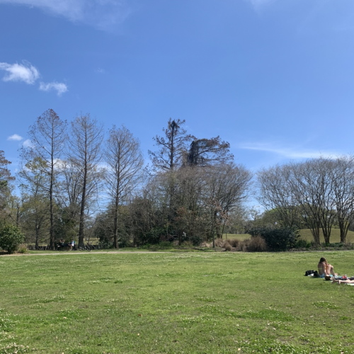 audobon park